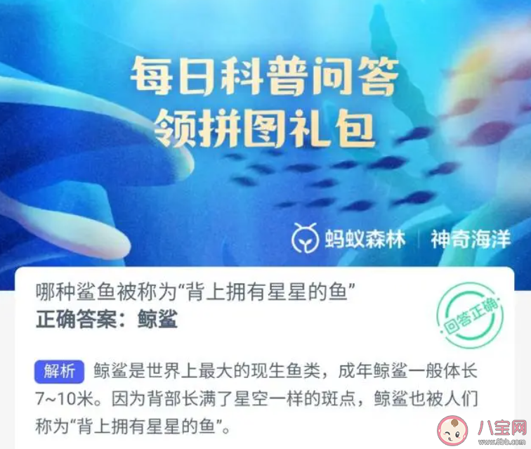 哪种鲨鱼被称为背上拥有星星的鱼 神奇海洋10月17日答案 哪种鲨鱼被称为背上拥有星星的鱼 神奇海洋10月17日答案