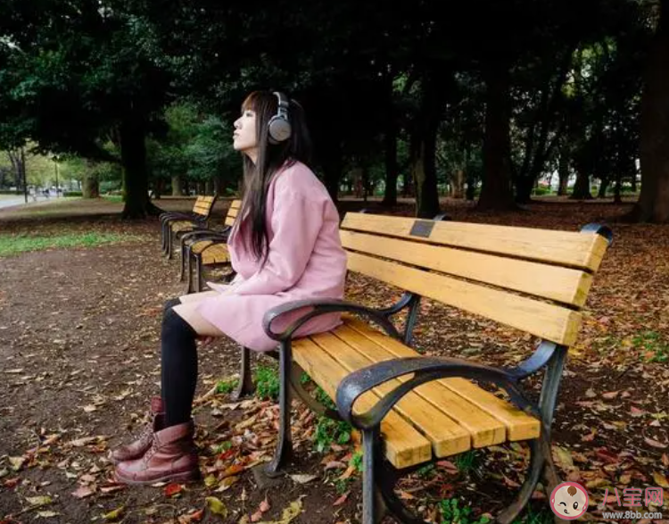 歌曲中旋律和歌词哪个更重要 如何判断一首歌好不好听