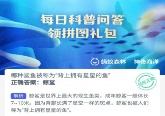 哪种鲨鱼被称为背上拥有星星的鱼 神奇海洋10月17日答案