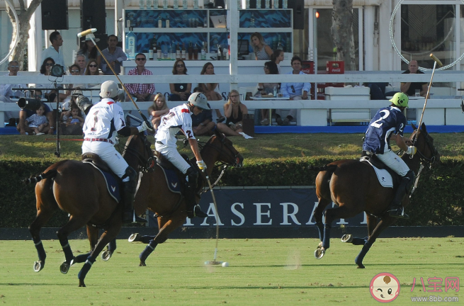 以下哪种传统运动是国家级非物质文化遗产 蚂蚁新村10月18日答案 以下哪种传统运动是国家级非物质文化遗产 蚂蚁新村10月18日答案