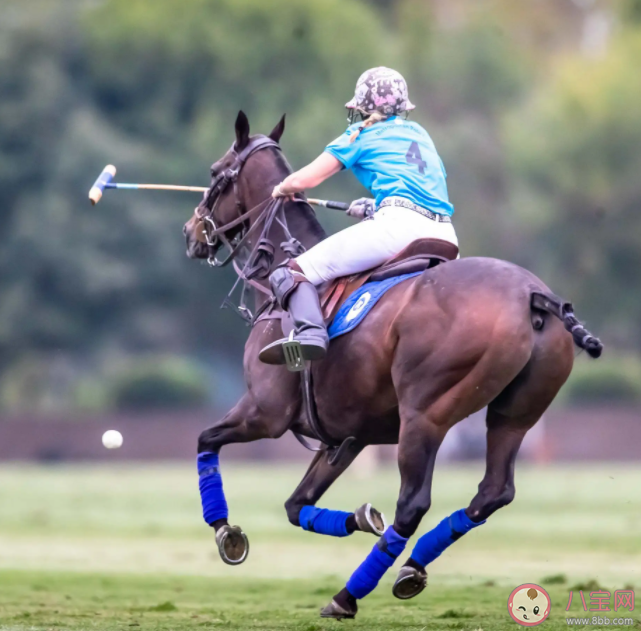 哪种传统运动是国家级非物质文化遗产 蚂蚁新村10月19日答案