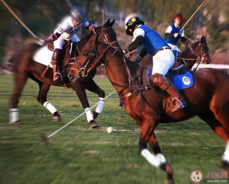 哪种传统运动是国家级非物质文化遗产 蚂蚁新村10月19日答案