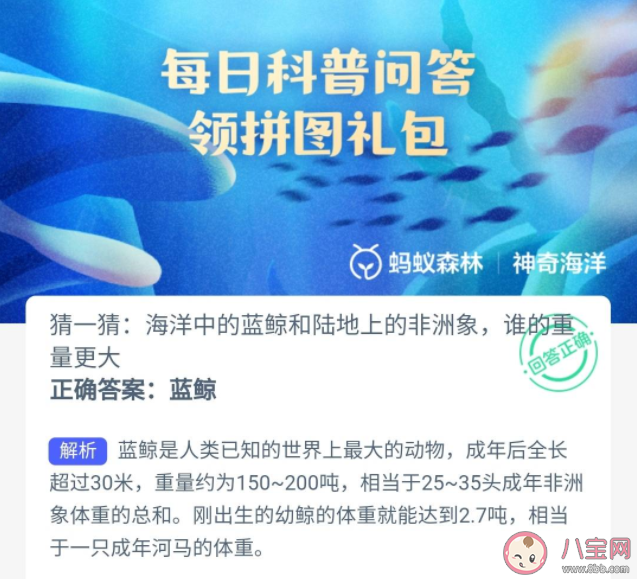 海洋中的蓝鲸和陆地上的非洲象谁的重量更大 神奇海洋10月20日答案 海洋中的蓝鲸和陆地上的非洲象谁的重量更大 神奇海洋10月20日答案