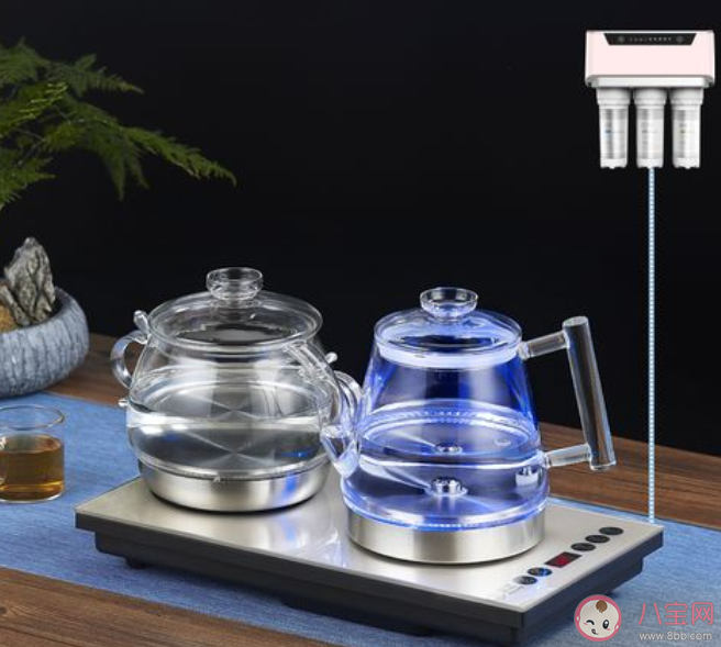 年轻人越来越爱喝茶了吗 电子茶具火了是什么原因 年轻人越来越爱喝茶了吗 电子茶具火了是什么原因