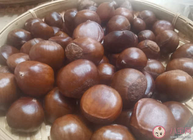 板栗可以生吃吗 板栗吃了有什么好处 板栗可以生吃吗 板栗吃了有什么好处