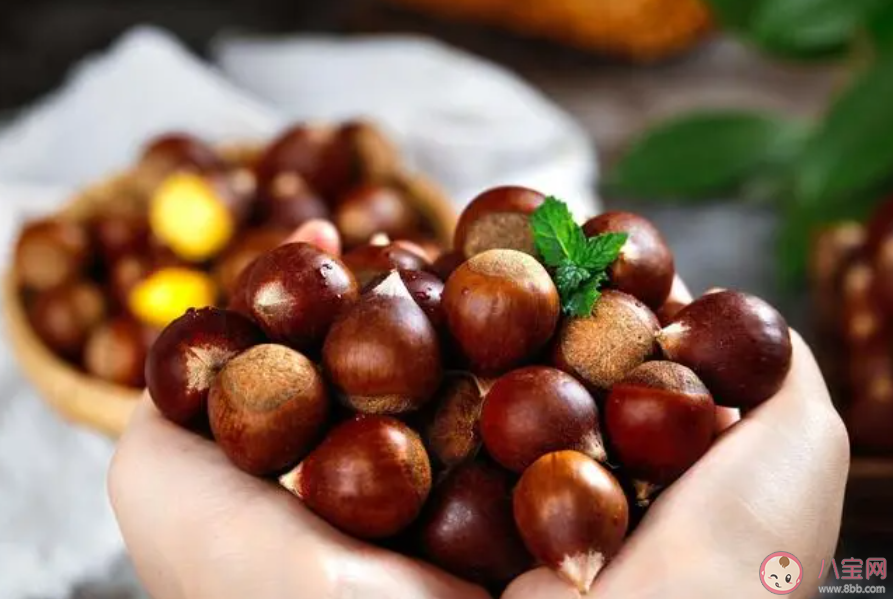 金秋时节正是以下哪种坚果成熟的季节 蚂蚁庄园10月22日答案