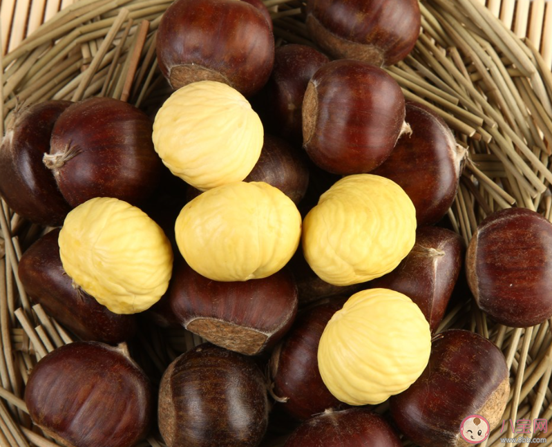 金秋时节正是以下哪种坚果成熟的季节 蚂蚁庄园10月22日答案