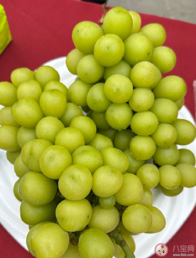 为什么阳光玫瑰变便宜也变难吃了 阳光玫瑰是如何传入中国的