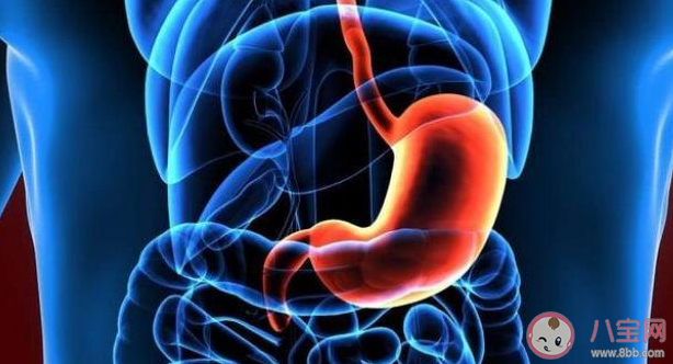 早上是最适合排便的时间段吗 排便困难该怎么办 早上是最适合排便的时间段吗 排便困难该怎么办