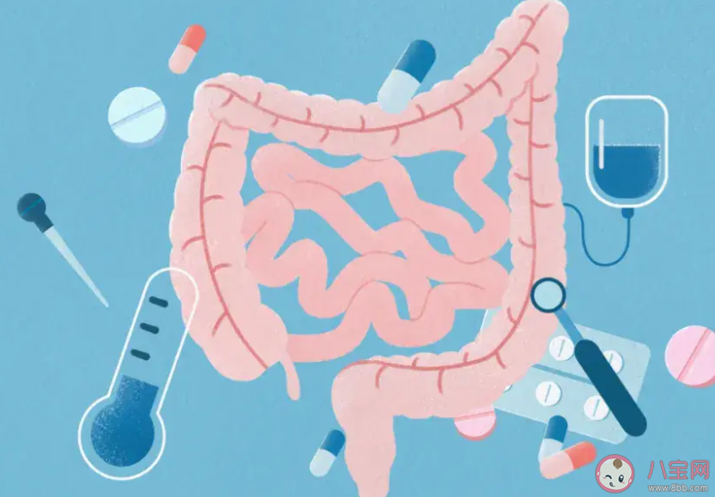 早上是最适合排便的时间段吗 排便困难该怎么办 早上是最适合排便的时间段吗 排便困难该怎么办