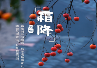 霜降节气为什么要吃柿子 霜降还有哪些习俗