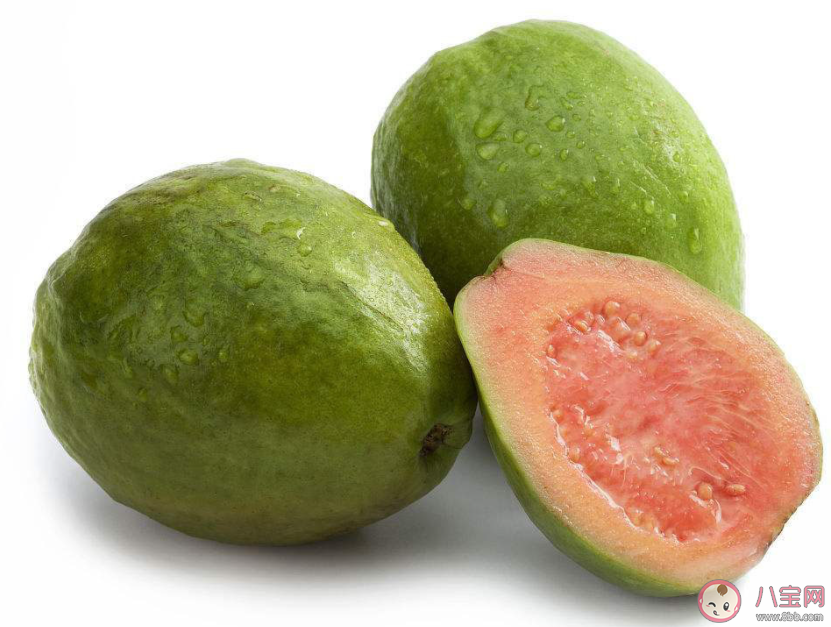 番石榴和石榴是同一种水果吗 蚂蚁庄园10月26日答案