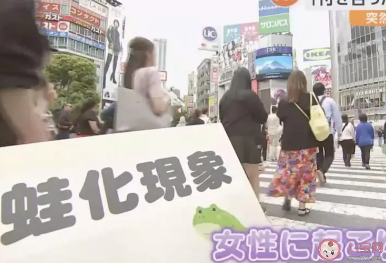 蛙化现象加剧日本不婚困境 什么是蛙化现象 蛙化现象加剧日本不婚困境 什么是蛙化现象