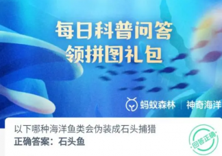 以下哪种海洋鱼类会伪装成石头捕猎 神奇海洋10月25日答案