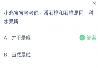 番石榴和石榴是同一种水果吗 蚂蚁庄园10月26日答案