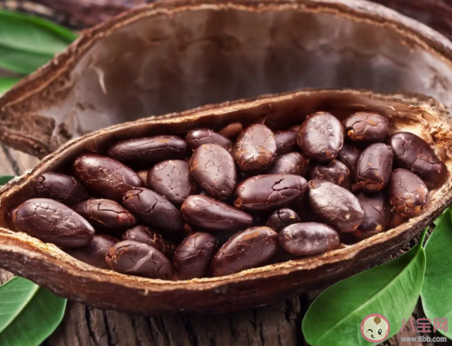 可可涨价巧克力会更贵吗 可可为什么涨价了