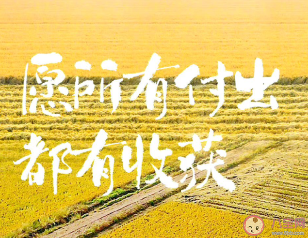 2023第300天的心情文案句子 2023第300天的感受说说
