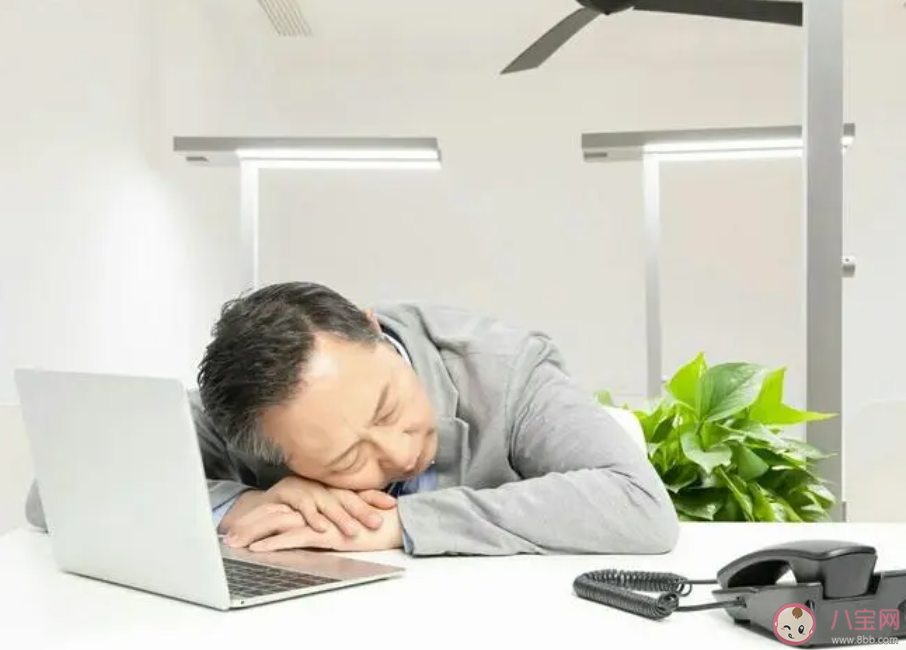 午睡20分钟健康获益大 午睡能睡很长时间吗 午睡20分钟健康获益大 午睡能睡很长时间吗