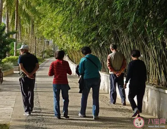 研究称每天8千步可降低早死风险 每天走路散步会有哪些好处 研究称每天8千步可降低早死风险 每天走路散步会有哪些好处