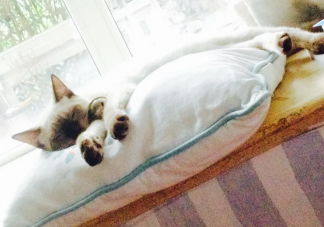 午睡20分钟健康获益大 午睡能睡很长时间吗