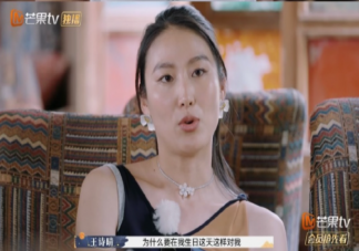 《再见爱人3》观后感如何 《再见爱人3》看完有哪些感受