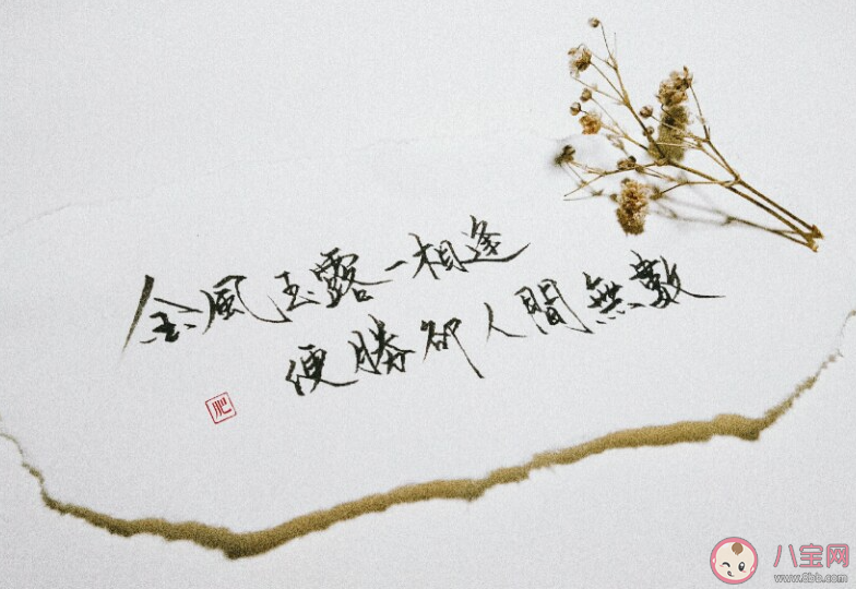 金风玉露啊一相逢是什么歌 《金风玉露一相逢》歌曲歌词介绍