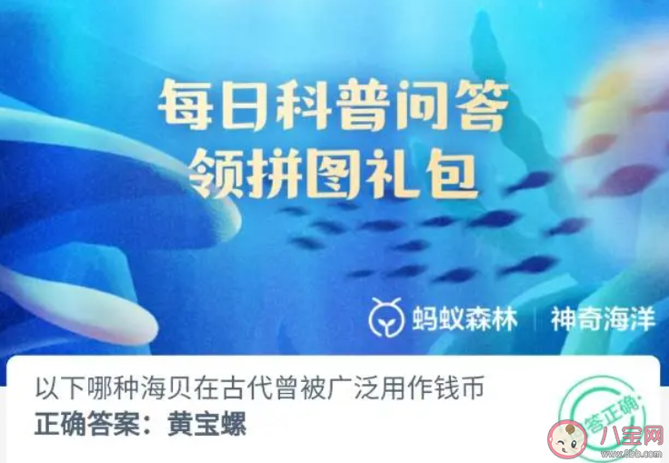 以下哪种海贝在古代曾被广泛用作钱币 神奇海洋11月1日答案 以下哪种海贝在古代曾被广泛用作钱币 神奇海洋11月1日答案