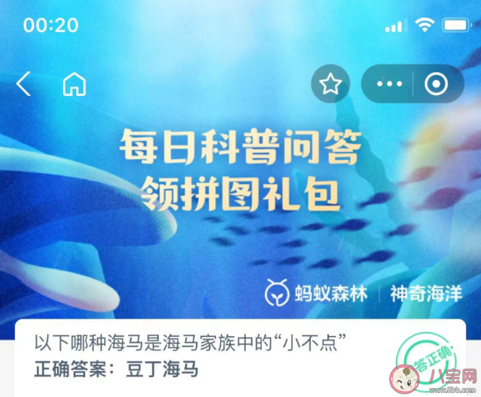 以下哪种海马是海马家族中的小不点 神奇海洋11月2日答案 以下哪种海马是海马家族中的小不点 神奇海洋11月2日答案