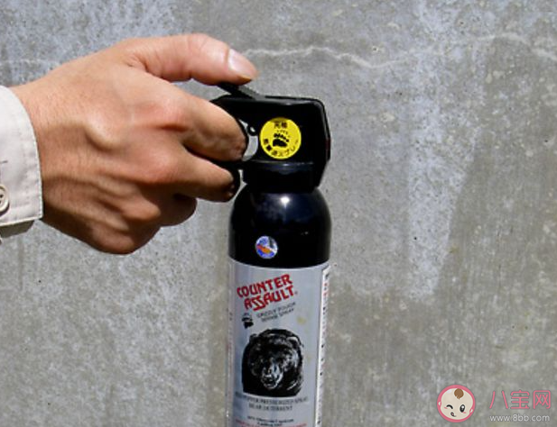 日本防熊用品卖爆了是怎么回事 防熊喷雾有用吗