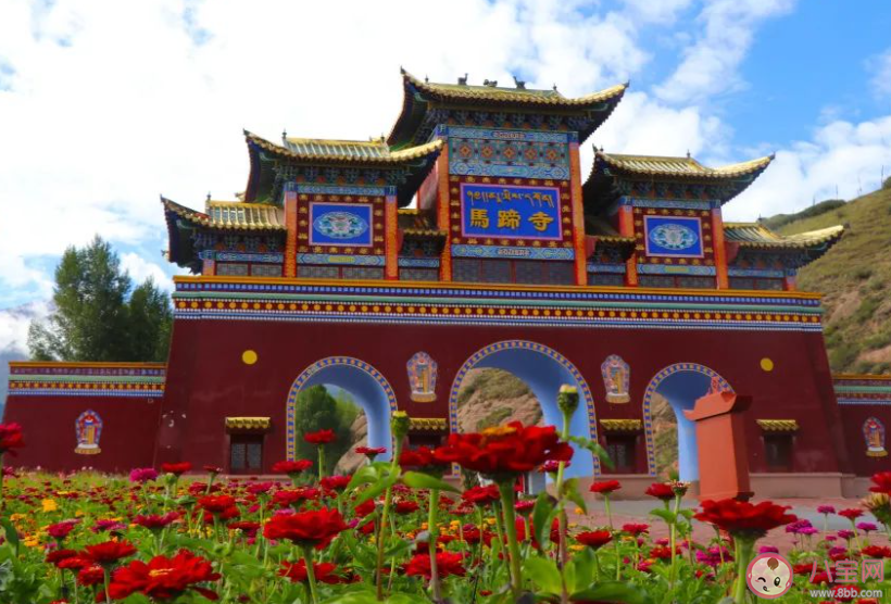 为什么传统景区没人去了 传统景区指的是哪些地方 为什么传统景区没人去了 传统景区指的是哪些地方