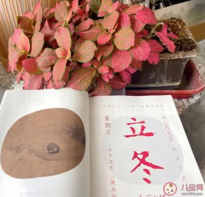 古时有四时八节之说猜猜以下哪个节气是八节之一 蚂蚁庄园11月8日答案