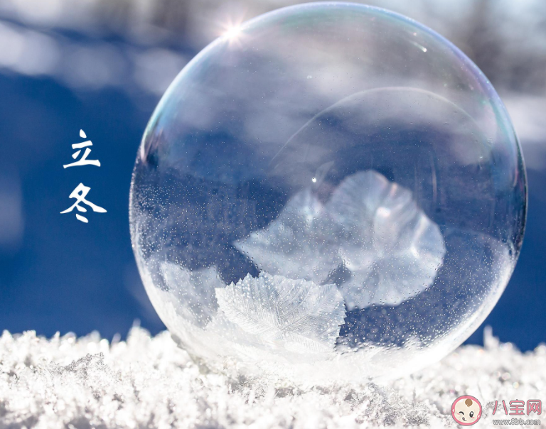 细雨生寒未有霜庭前木叶半青黄描写的是哪个节气的景象 蚂蚁庄园11月8日答案