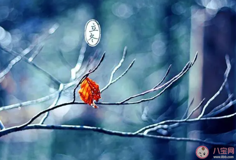 细雨生寒未有霜庭前木叶半青黄描写的是哪个节气的景象 蚂蚁庄园11月8日答案