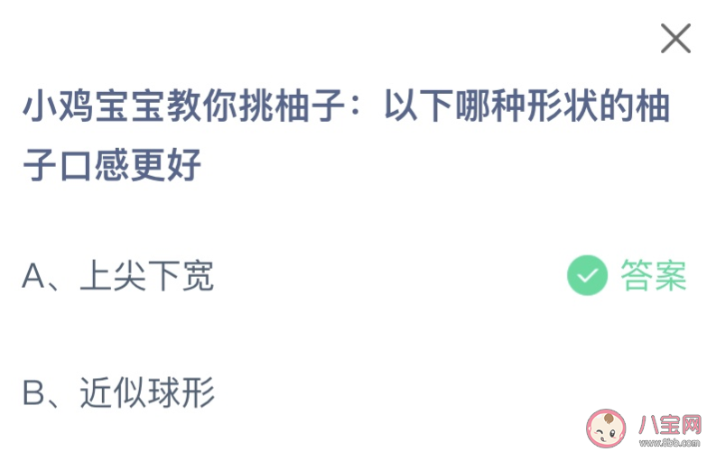 以下哪种形状的柚子口感更好 蚂蚁庄园11月9日答案