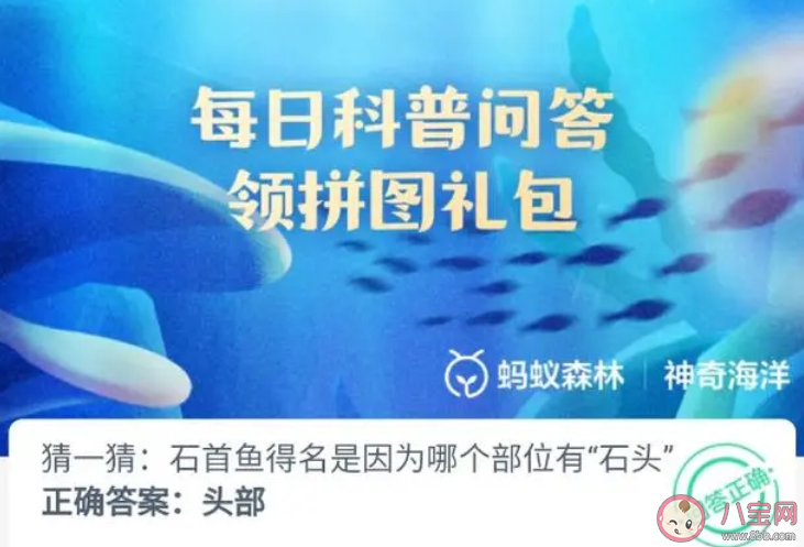 石首鱼得名是因为哪个部位有石头 神奇海洋11月9日答案 石首鱼得名是因为哪个部位有石头 神奇海洋11月9日答案