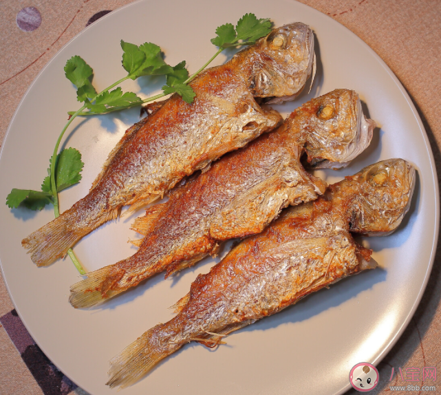 石首鱼得名是因为哪个部位有石头 神奇海洋11月9日答案 石首鱼得名是因为哪个部位有石头 神奇海洋11月9日答案