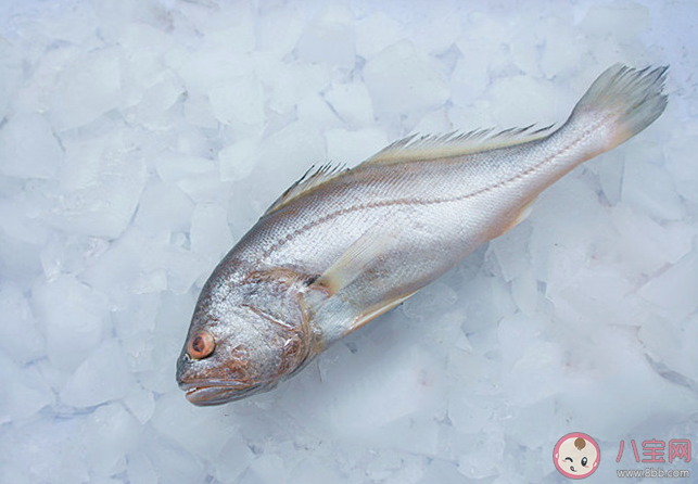 石首鱼得名是因为哪个部位有石头 神奇海洋11月9日答案 石首鱼得名是因为哪个部位有石头 神奇海洋11月9日答案