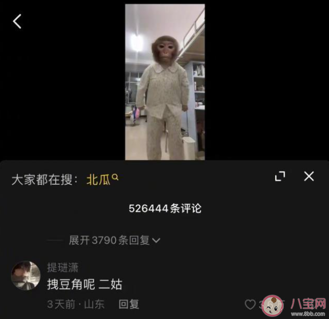 吗喽占领了年轻人的生活圈吗 吗喽是什么梗 吗喽占领了年轻人的生活圈吗 吗喽是什么梗