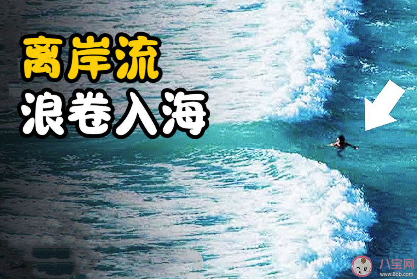 海边约90%溺水是因为离岸流 什么是离岸流 海边约90%溺水是因为离岸流 什么是离岸流