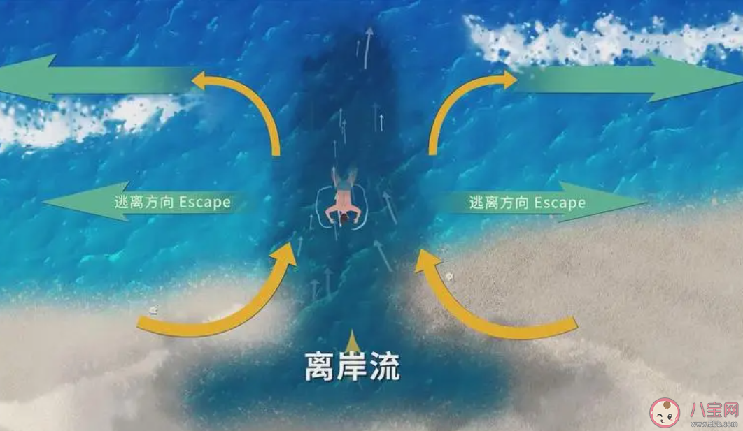 海边约90%溺水是因为离岸流 什么是离岸流 海边约90%溺水是因为离岸流 什么是离岸流