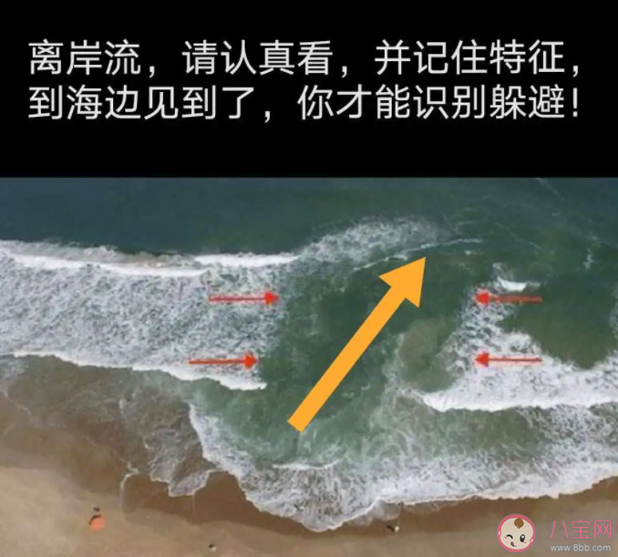 近海游泳遇到离岸流该怎么办 离岸流会在什么时候出现 近海游泳遇到离岸流该怎么办 离岸流会在什么时候出现