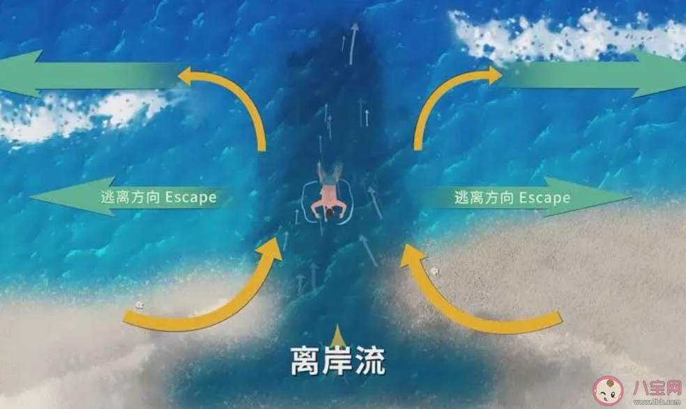 近海游泳遇到离岸流该怎么办 离岸流会在什么时候出现 近海游泳遇到离岸流该怎么办 离岸流会在什么时候出现