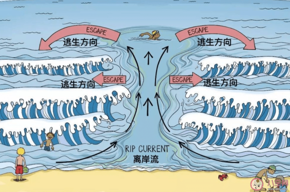 近海游泳遇到离岸流该怎么办 离岸流会在什么时候出现 近海游泳遇到离岸流该怎么办 离岸流会在什么时候出现