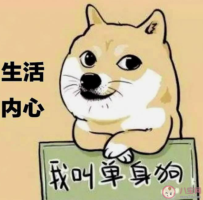 双十一单身狗被创的朋友圈说说 双十一单身狗文案句子大全 双十一单身狗被创的朋友圈说说 双十一单身狗文案句子大全