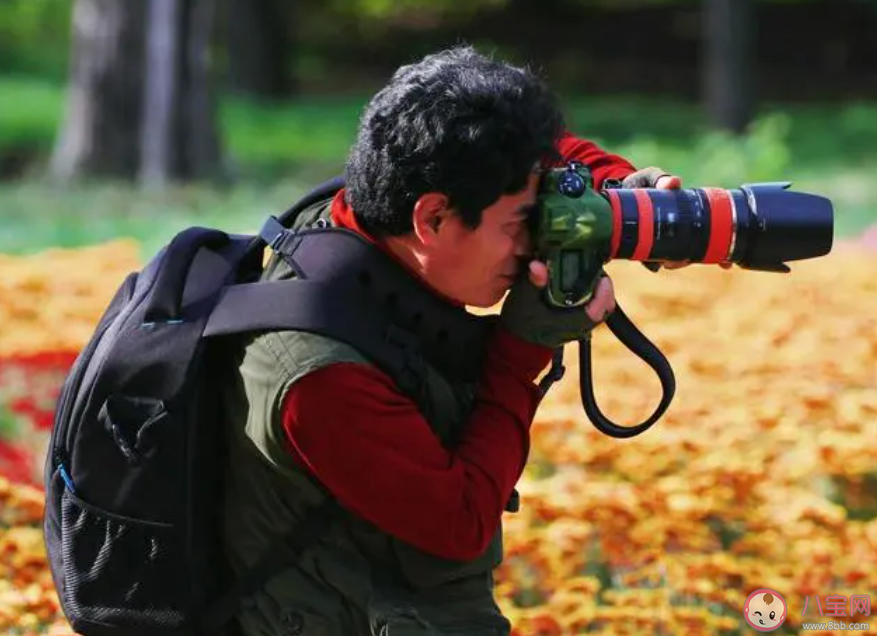 陪拍摄影师的主要工作是什么 蚂蚁新村11月11日答案 陪拍摄影师的主要工作是什么 蚂蚁新村11月11日答案