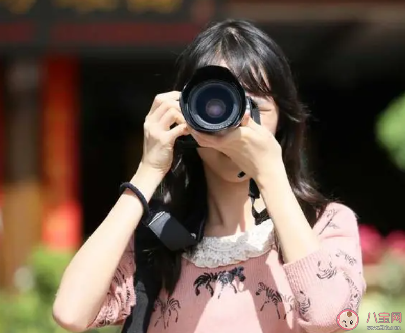 陪拍摄影师的主要工作是什么 蚂蚁新村11月11日答案 陪拍摄影师的主要工作是什么 蚂蚁新村11月11日答案