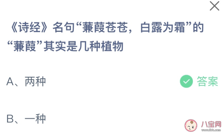 《诗经》名句蒹葭苍苍白露为霜的蒹葭其实是几种植物 蚂蚁庄园11月12日答案