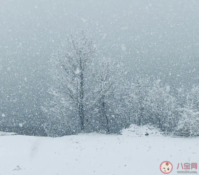 谁家下雪先打雷啊 下雪前为什么会打雷 谁家下雪先打雷啊 下雪前为什么会打雷