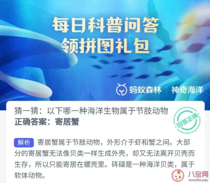 猜一猜以下哪—种海洋生物属于节肢动物 神奇海洋11月13日答案 猜一猜以下哪—种海洋生物属于节肢动物 神奇海洋11月13日答案