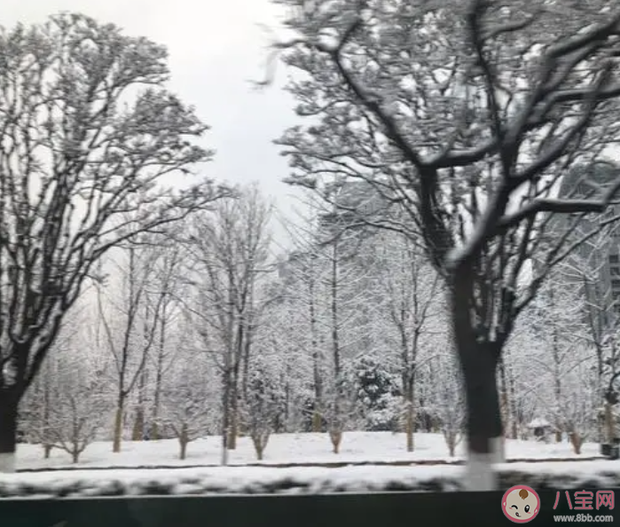 雪天8大健康提醒来了 雪天出行要注意些什么